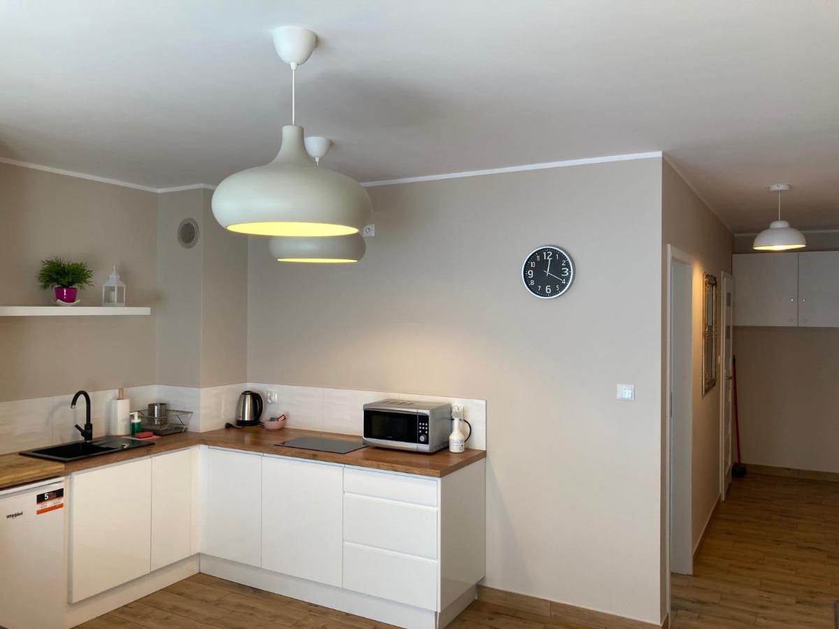 Apartament "Hotelik" شكلارسكا بوريبا المظهر الخارجي الصورة